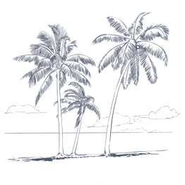 Vector Illustration of a plam trees used at Tambua Sands Beach Resort