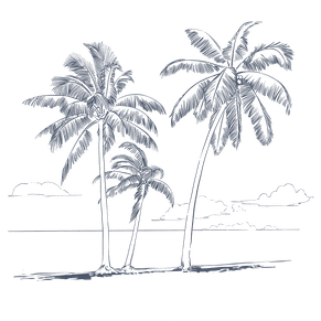 Vector illustration of palm trees used at Warwick Fiji Resort and Spa