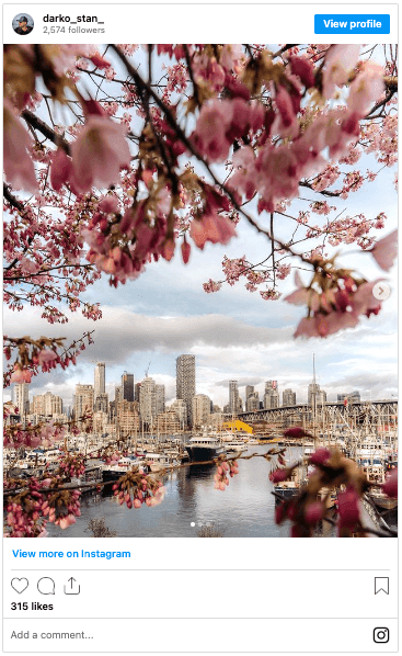 The Best Places To See Spring Blossoms In Vancouver