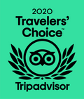 2020 Travelers' Choice Award 