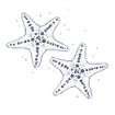 Two starfish with blue spotted patterns surrounded by small bubbles at Warwick Fiji Coral Coast
