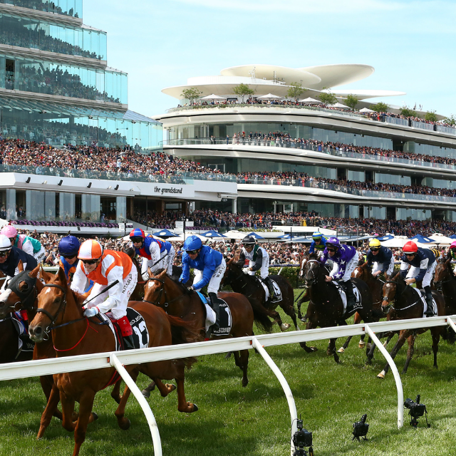 Horses on a race track