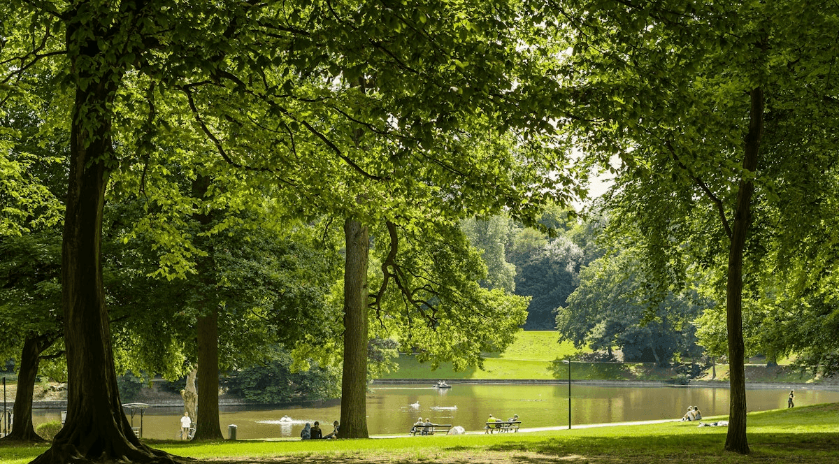 Weelderig groen park met vijver, bomen en bezoekers die ontspannen op het gras bij Hotel Barsey by Warwick Brussels Bruxelles
