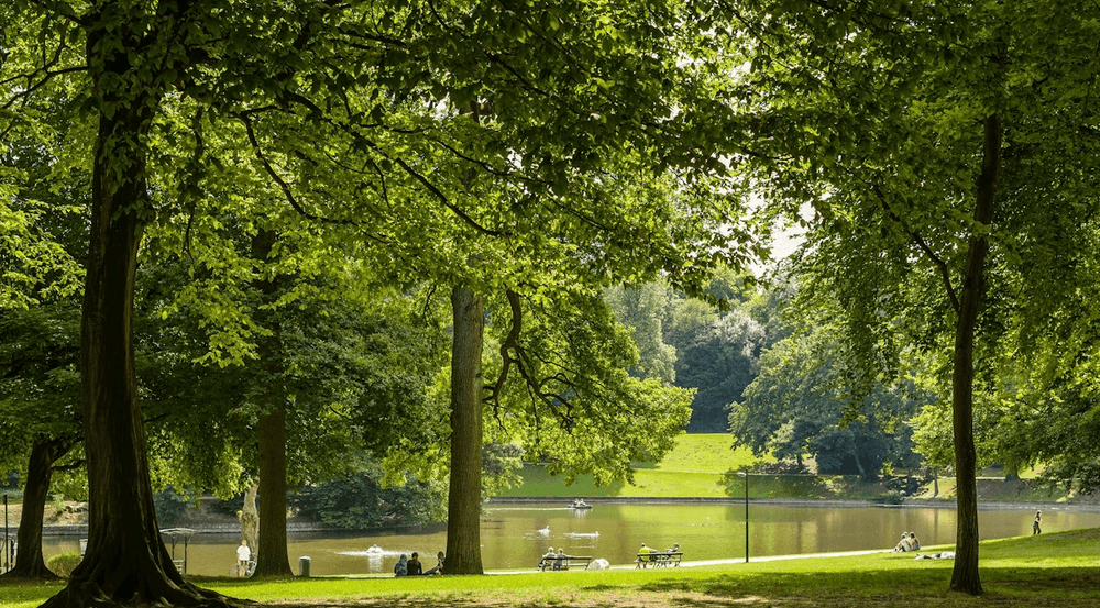Lush green trees and a peaceful serene lake in a public park with relax people near Hotel Barsey by Warwick hotel