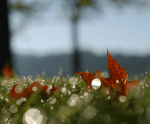 The Sebel Docklands and Residences - Exterior