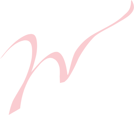 Intro Logo at Wow Hotels Group