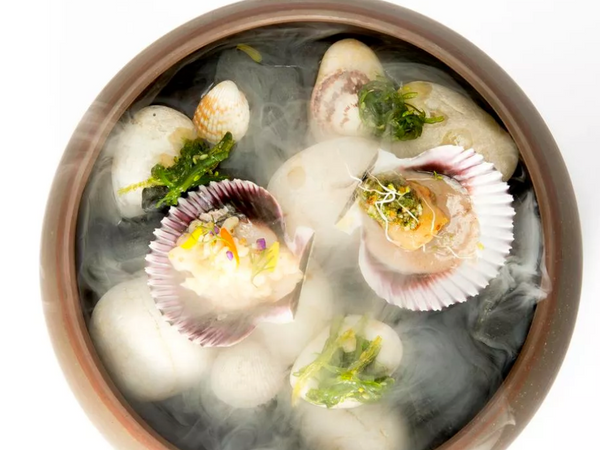 A photo of oysters on a plate
