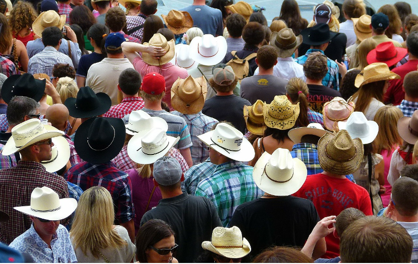 Experience Calgary Stampede This Summer