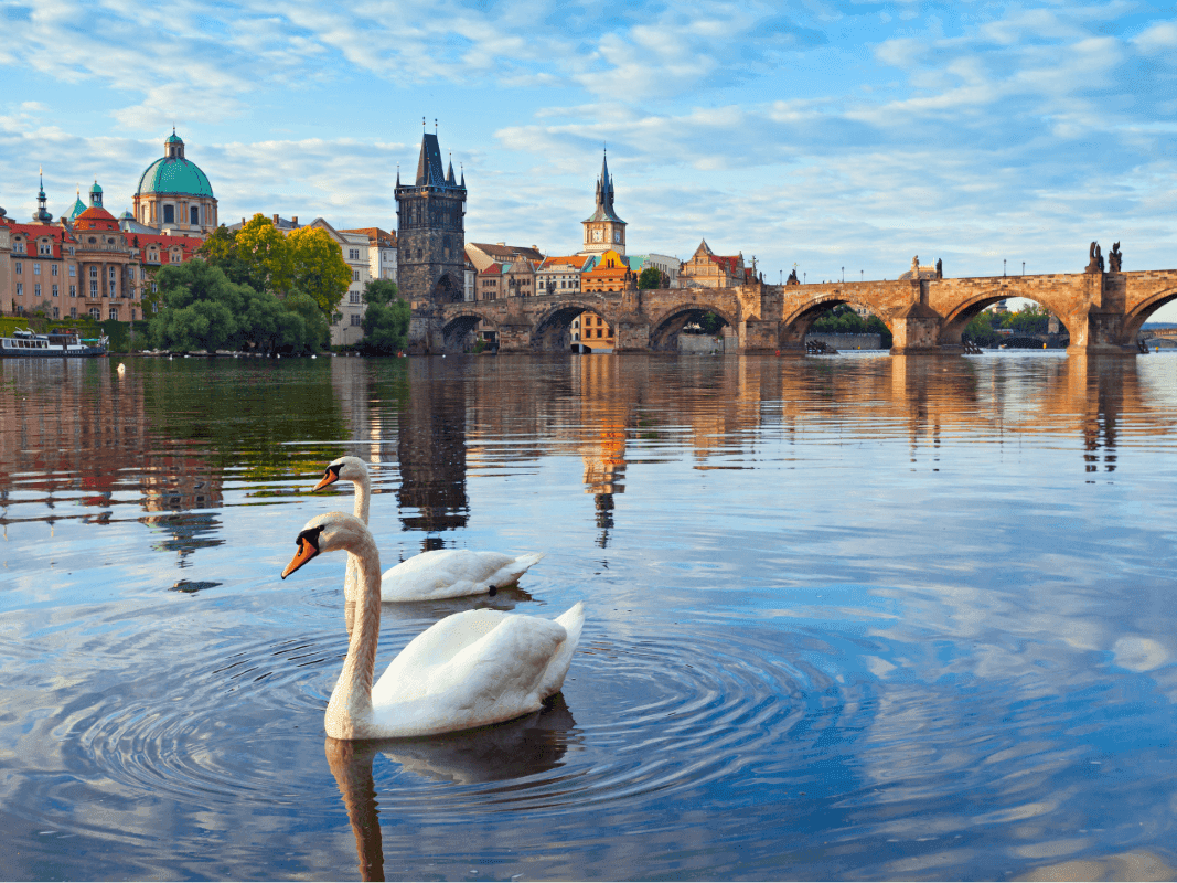 Hotel Savoy Prague Explore Prague stay in Prague 