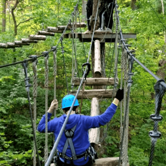 Hotels Near Treetop Trekking Markham