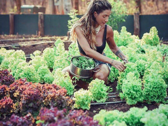 A lady picking organic greens at Cala Luna Boutique Hotel