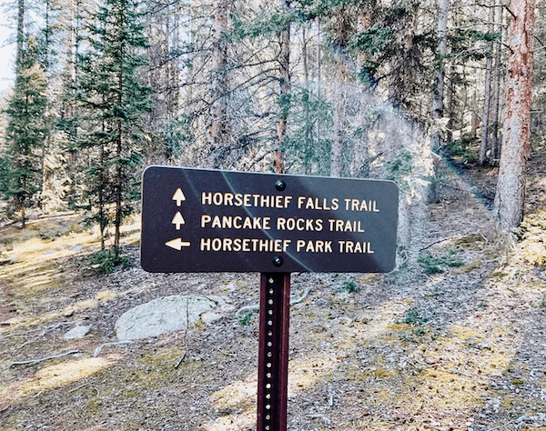 Close-up of road signs in a forest near Kinship Landing
