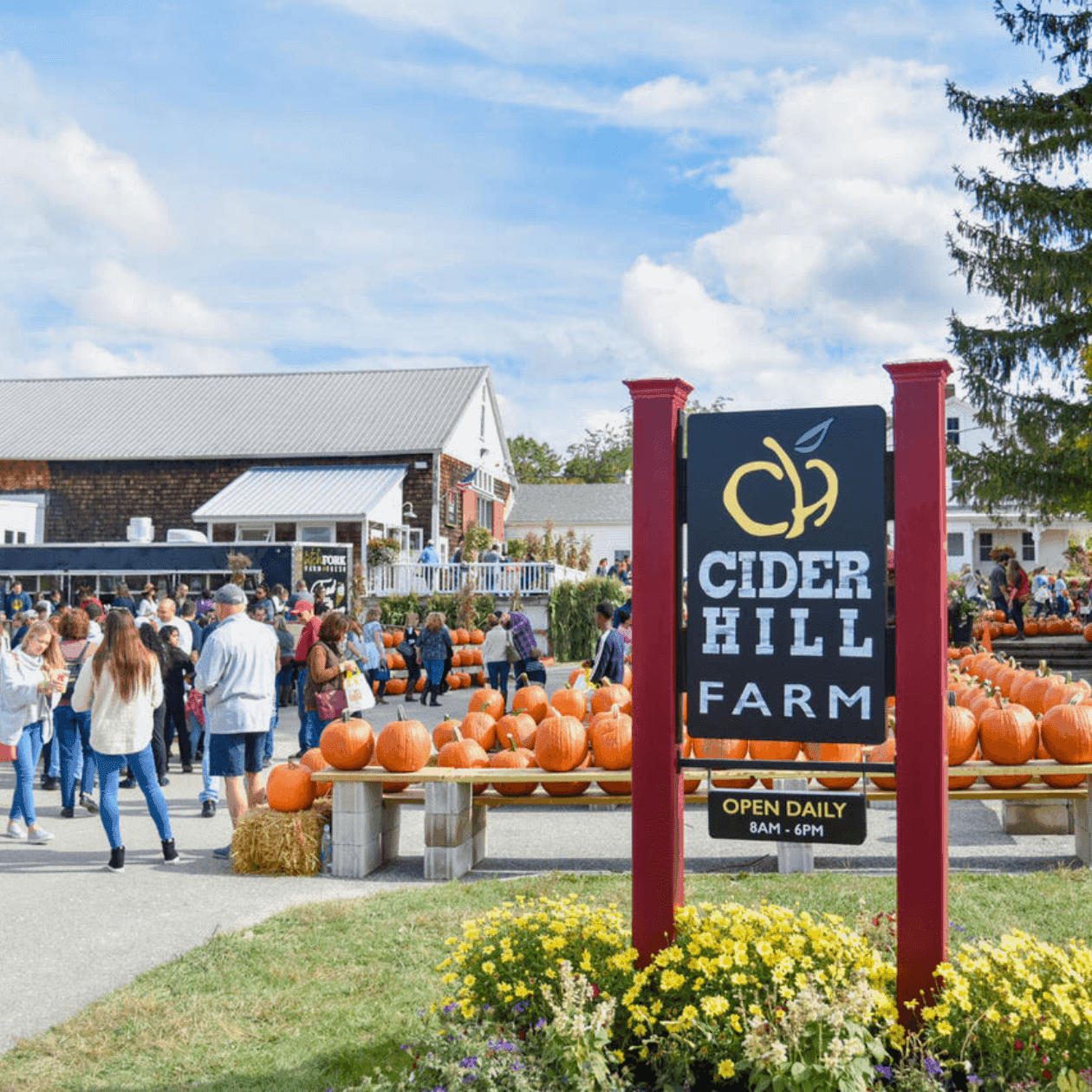 Crowded entrance of Cider Hill Farm with pumpkins, flowers, and a sign reading