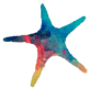 Illustration of a starfish used by Playa Blanca Beach Resort