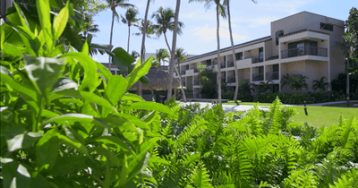 Hotel exterior with balconies overlooking lush tropical ferns and tall palm trees beneath a blue sky at Miami Lakes Hotel