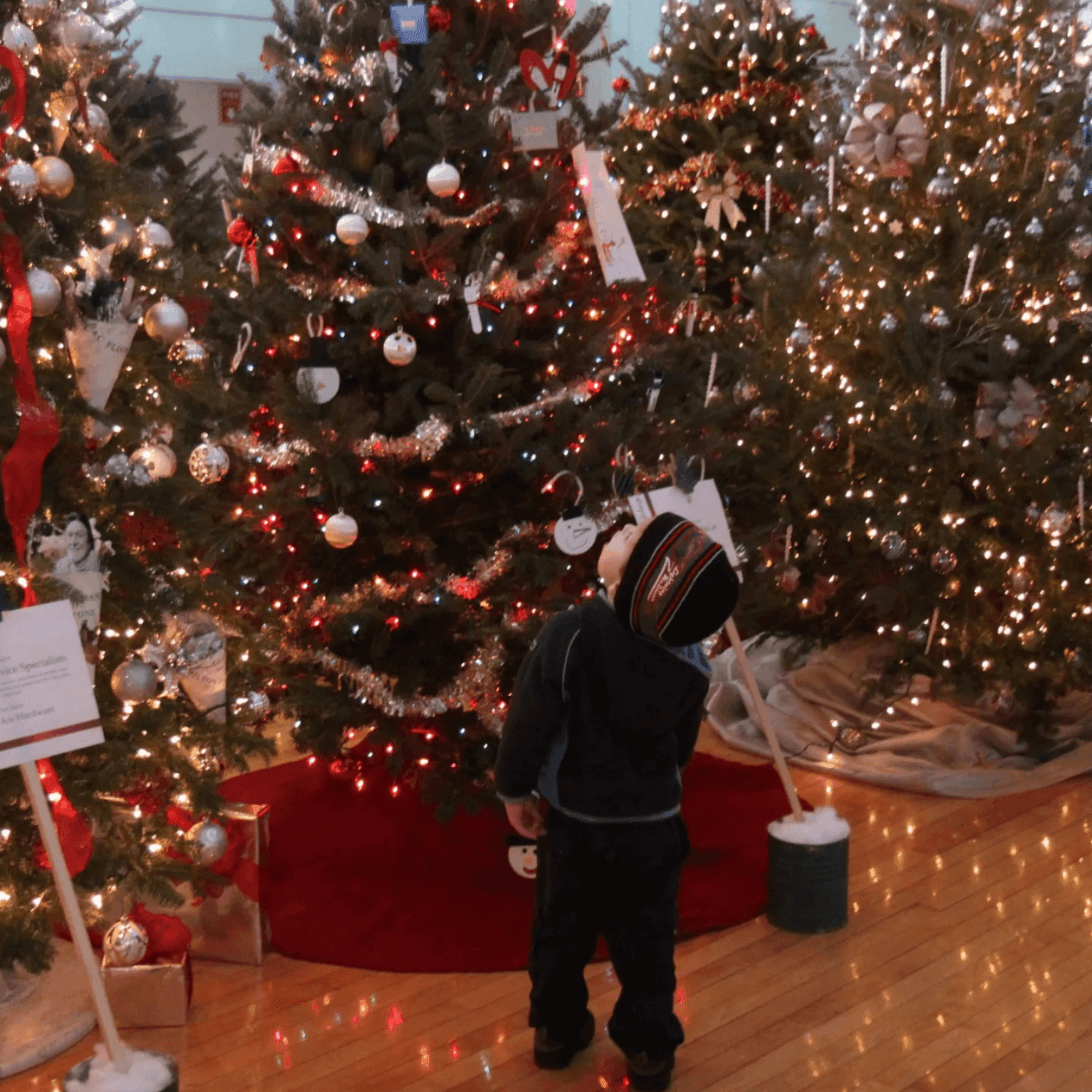 Child in winter clothes standing in front of several decorated Christmas trees on a wooden floor at The Exeter Inn