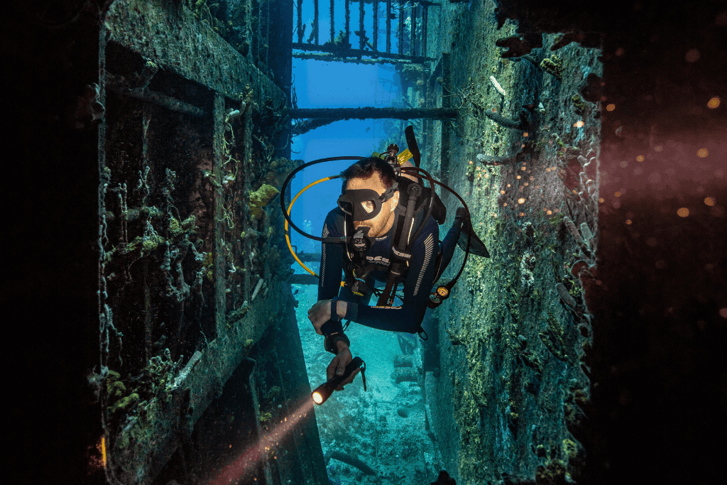 Statia reef life