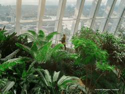 the sky garden