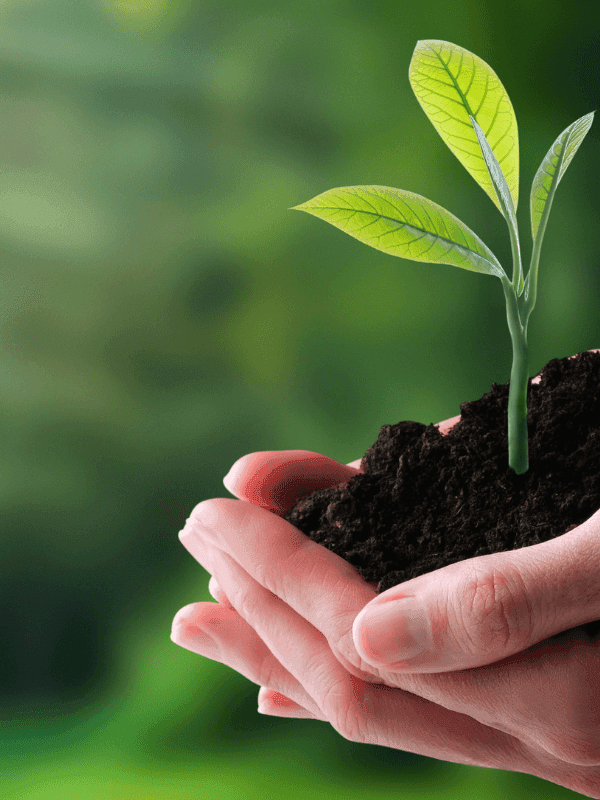 Sustainability 