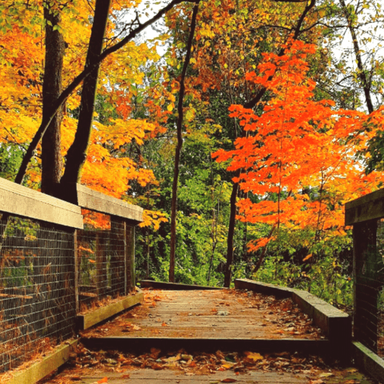 Markham Hiking Trails Near Mill House To Enjoy This Fall – Gemterra