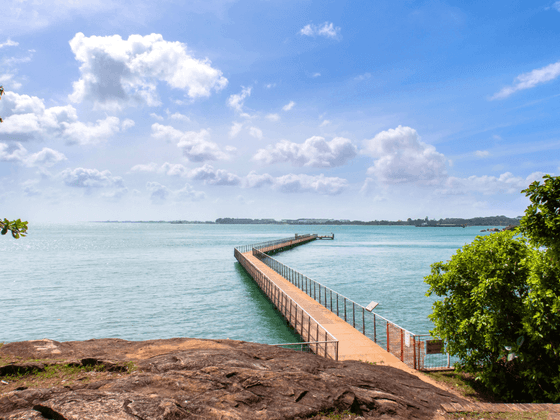 A wooden walkway extends from a pier near Paradox Singapore