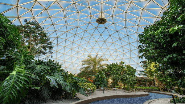 A beautiful greenhouse with an indoor river, tropical greenery, and a geometric glass ceiling.