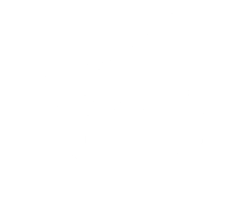 noahs on the beach logo