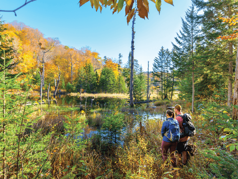 Fall Hiking in The Adirondacks Guided Hike Schroon Lake Hotel