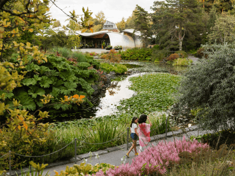 Romantic Vancouver Adventures for a Memorable Getaway