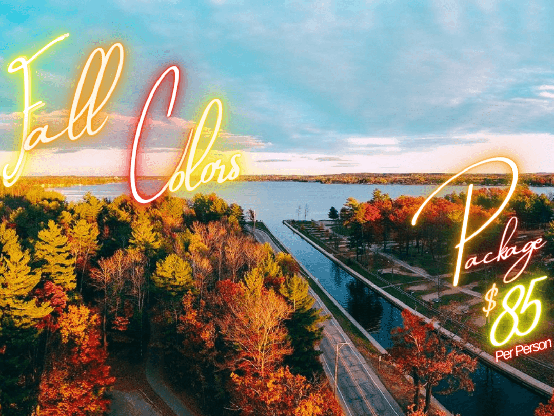 Fall Colors