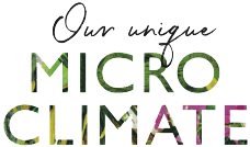 Our Unique Micro Climate Logo