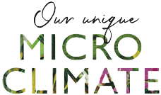 Our Unique Micro Climate Logo