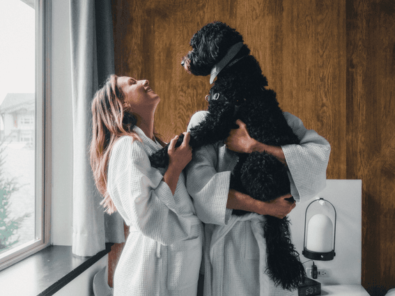 Couple petting a dog in a room at Aava Whistler Hotel