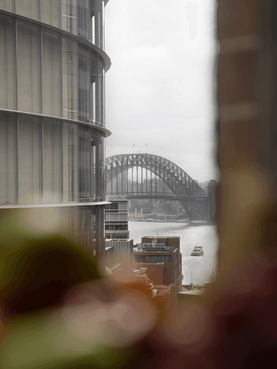 Partial Harbour Bridge View
