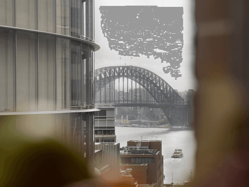 Partial Harbour Bridge View