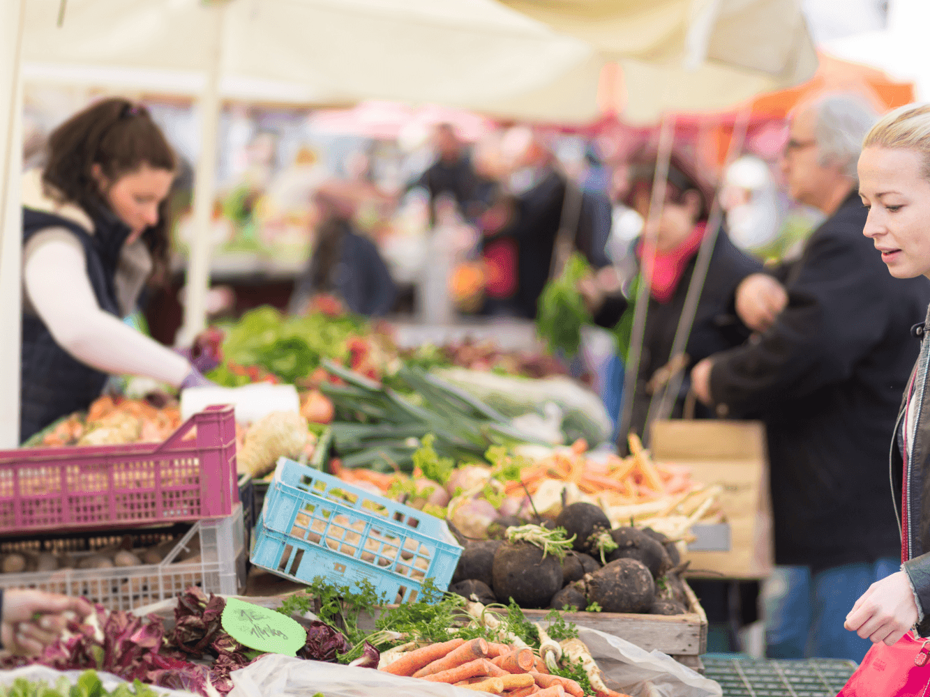 Women skimming through the fresh produce in a bustling farmer's market near Juniper Hill Inn