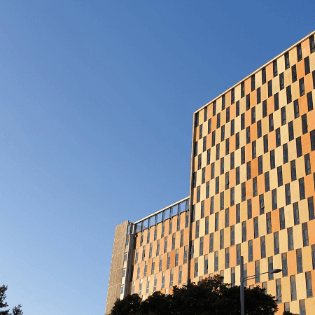 Te Tirohanga o te Tōangaroa