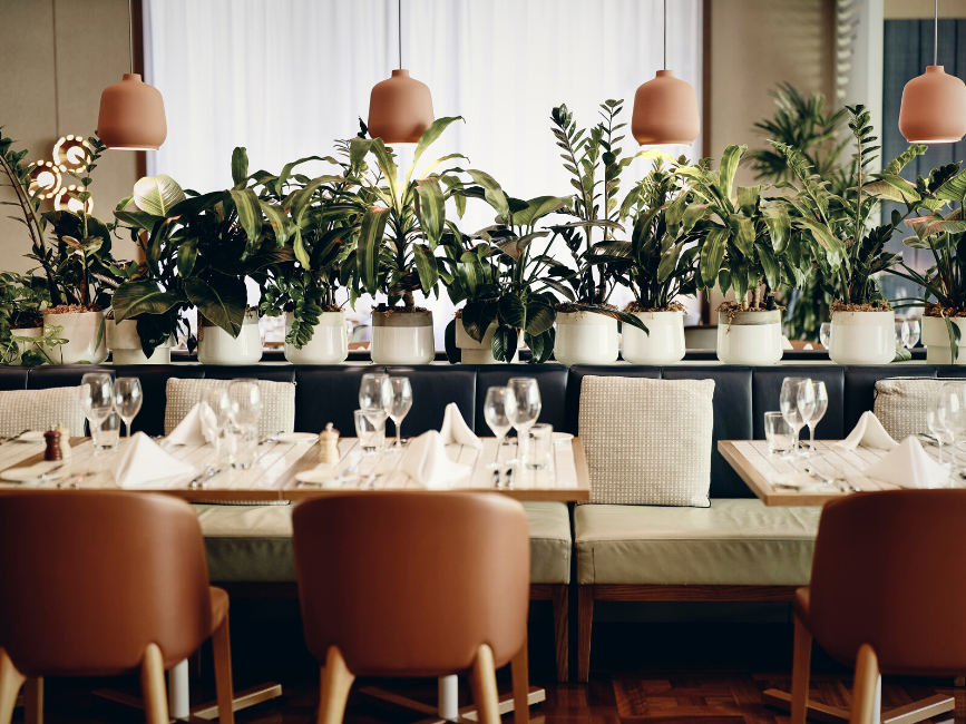 Dining tables & plants in Croft Restaurant at Amora Hotel