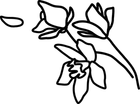 Vector icon of a flowers used at Flemings Hotels