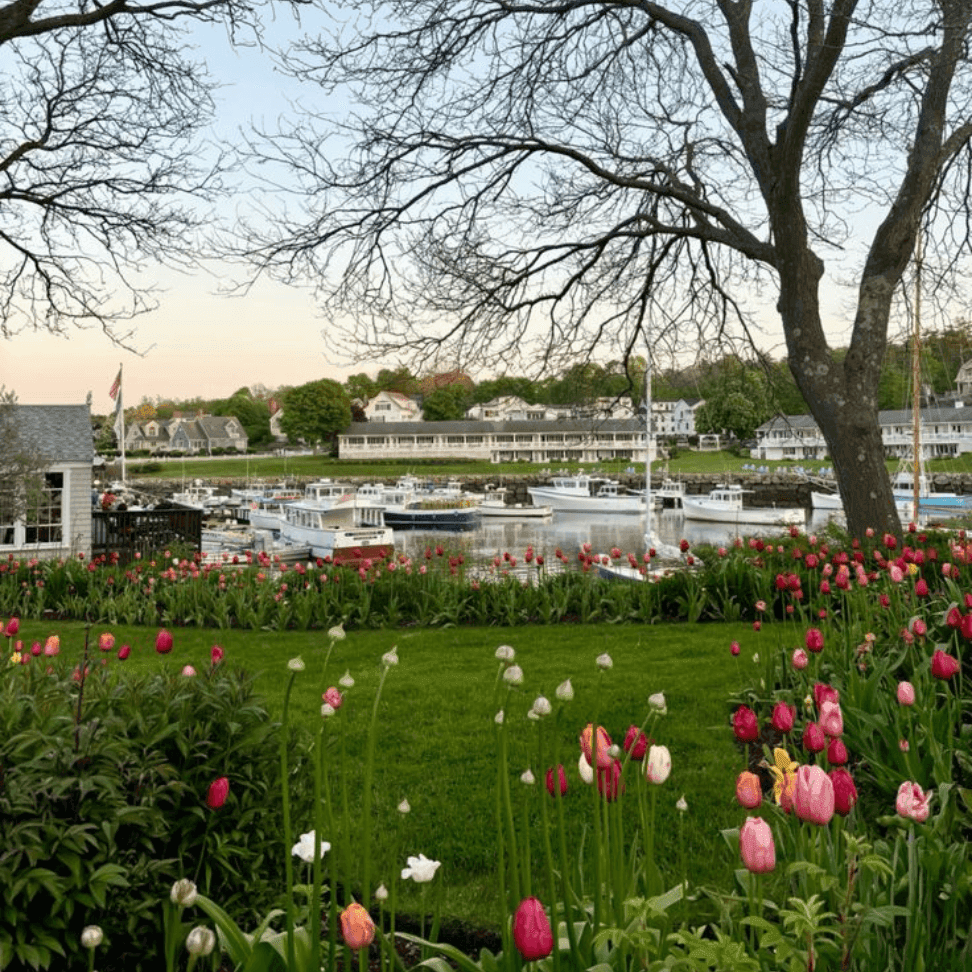 Anchorage By The Sea, Ogunquit Resort Collection — photo 18 of 60
