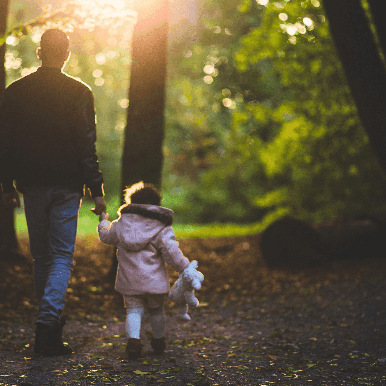 A father holds hand of his young daughter with teddy bear walking on wooded path in golden light.