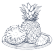 Vector illustration of Fruits Ananas used at Warwick Paradise Island Bahamas