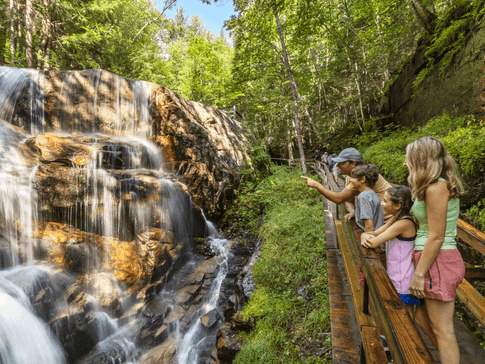 Family Friendly Attractions