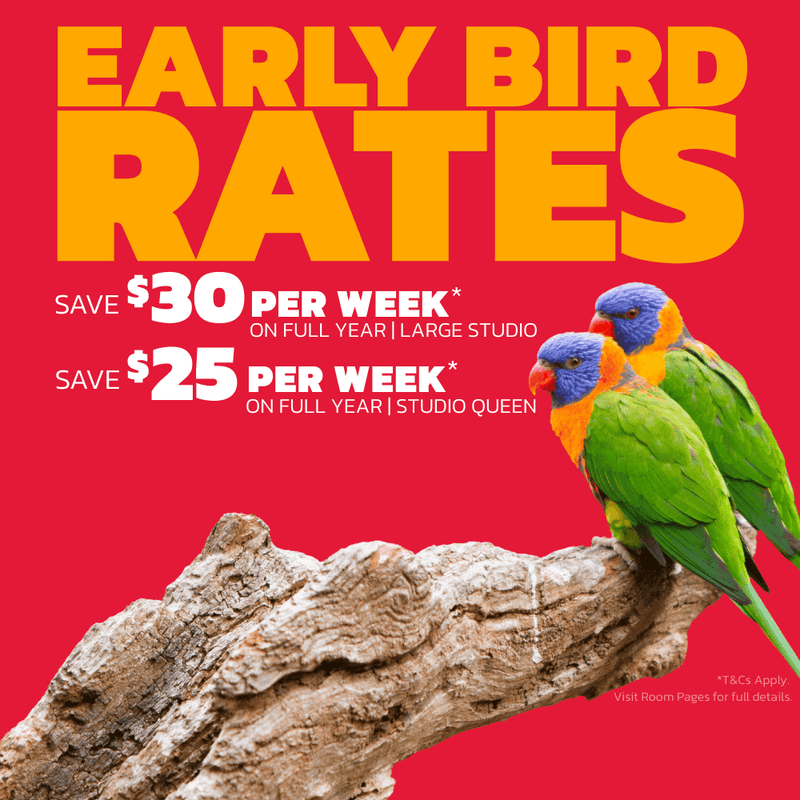 Two colorful parrots on a branch with 