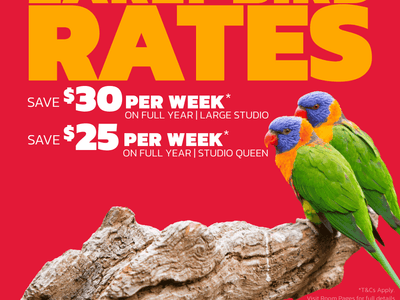 Two colorful parrots on a branch with 