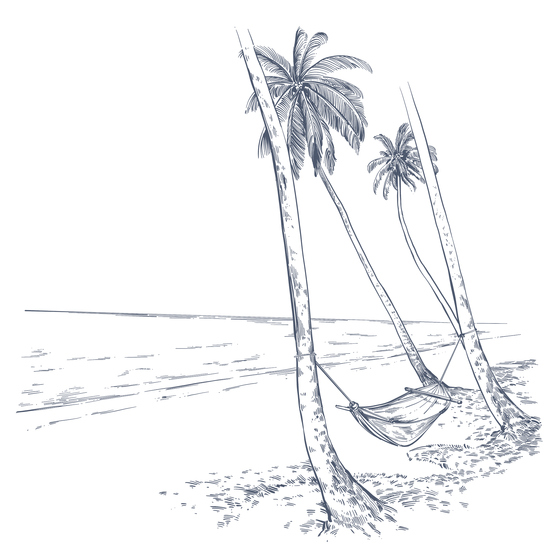 MICE Fiji — Fiji's national directory for events & destination weddings