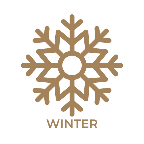 winter in boise idaho