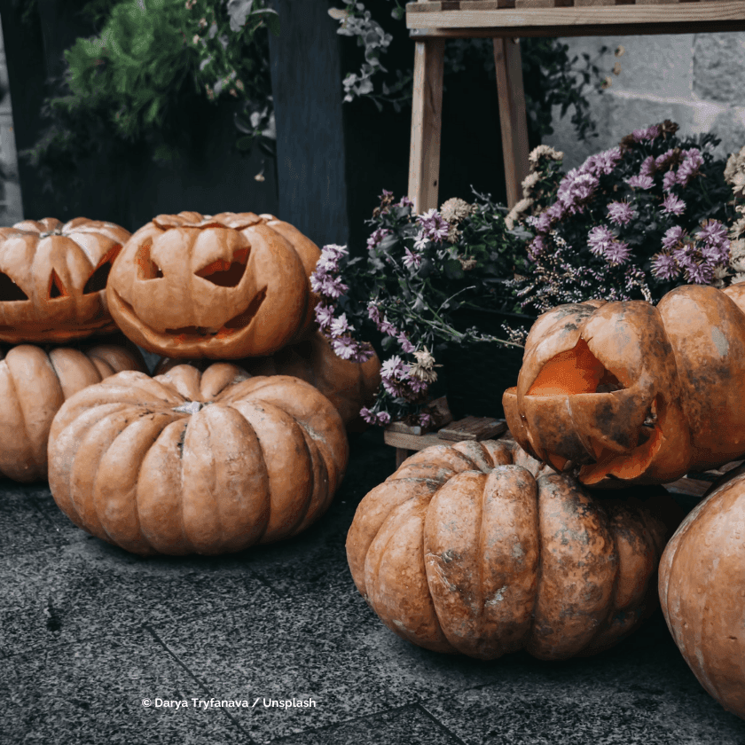 carved pumpkins