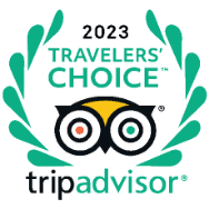 Travelers Choice Award used at Lake Buena Vista Resort Village & Spa