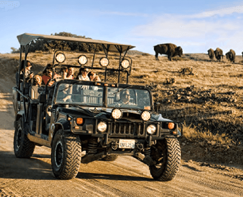 Group of people on an expedition in a jeep near Catalina Island Company